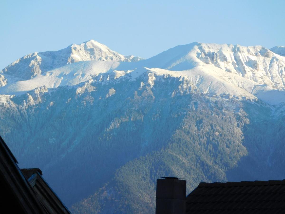Mountain Vista Suites Zărneşti Exteriör bild