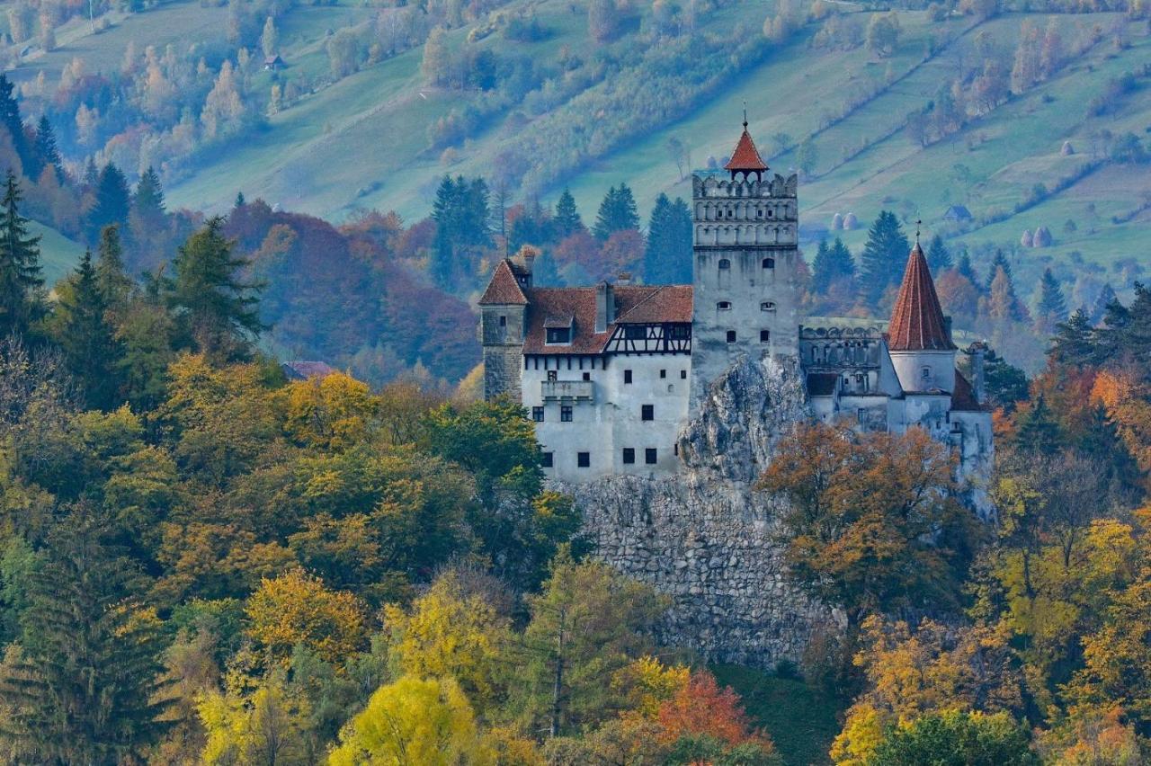 Mountain Vista Suites Zărneşti Exteriör bild