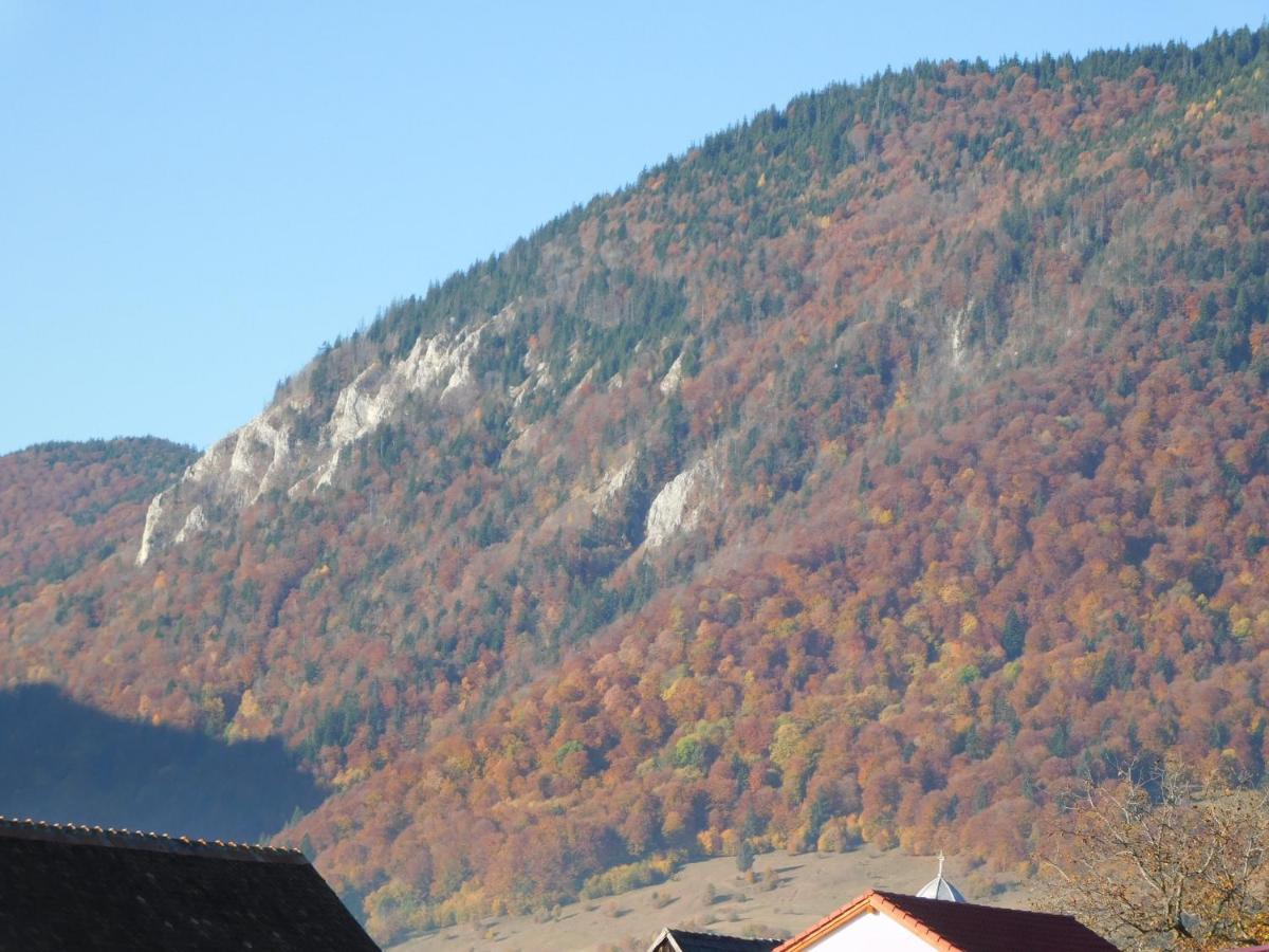 Mountain Vista Suites Zărneşti Exteriör bild