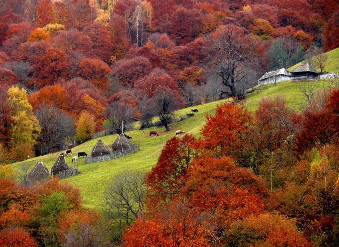 Mountain Vista Suites Zărneşti Exteriör bild