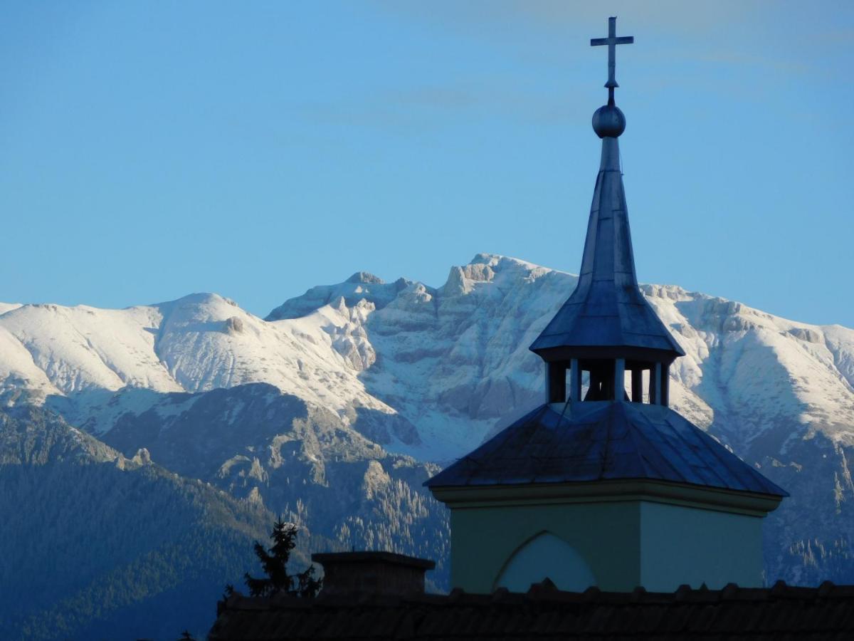 Mountain Vista Suites Zărneşti Exteriör bild