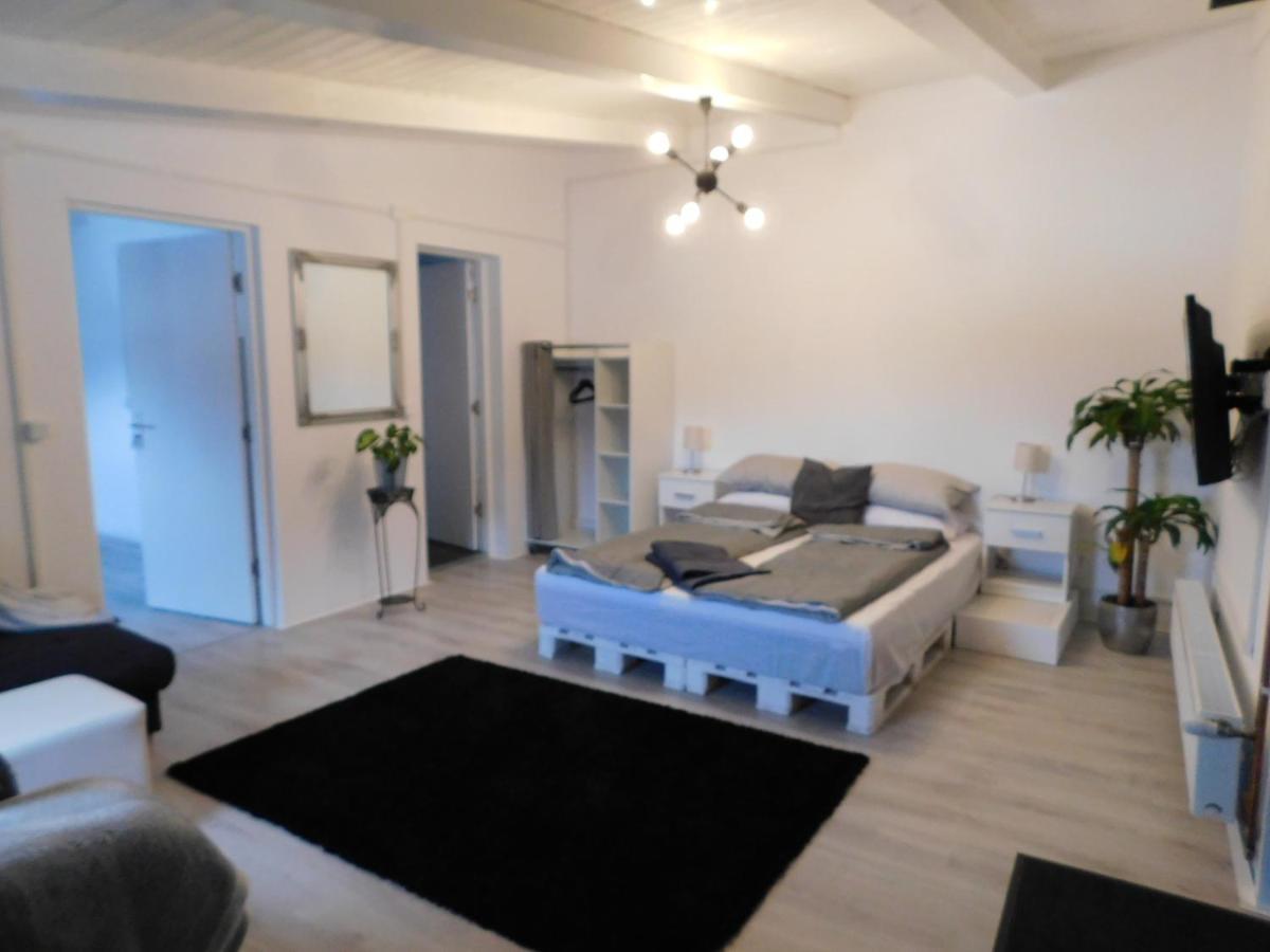 Mountain Vista Suites Zărneşti Exteriör bild