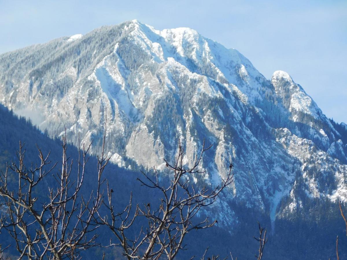 Mountain Vista Suites Zărneşti Exteriör bild