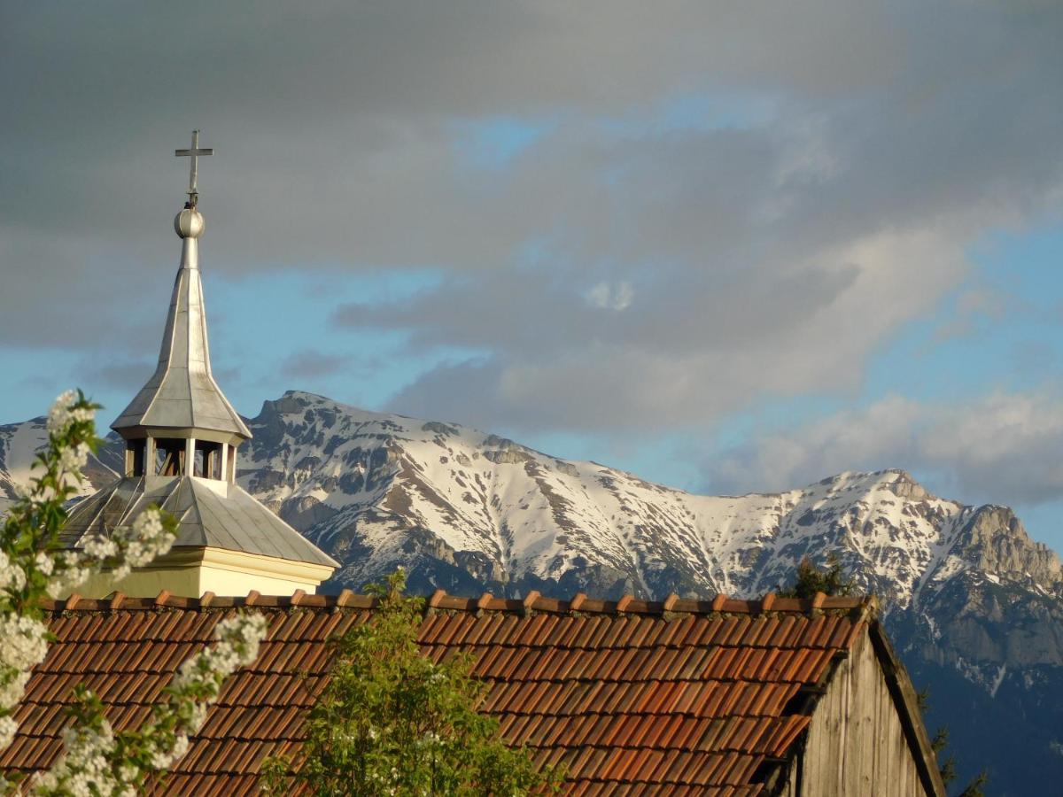 Mountain Vista Suites Zărneşti Exteriör bild