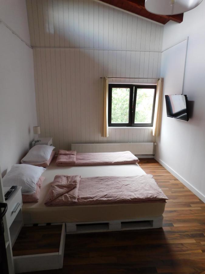 Mountain Vista Suites Zărneşti Exteriör bild