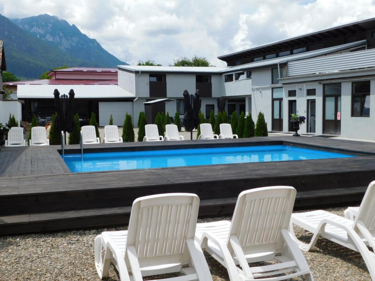 Mountain Vista Suites Zărneşti Exteriör bild